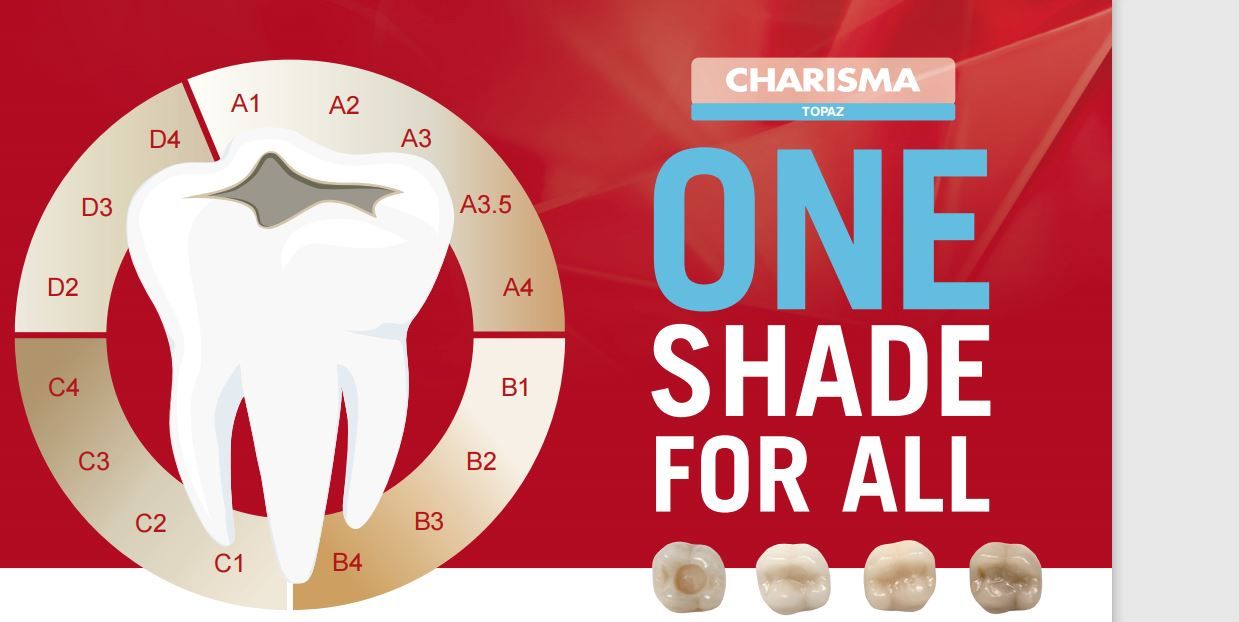 Kulzer Charisma Topaz One Shade Resin Based Bulk Restorative Composite Kit